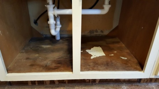 Under kitchen sink cabinet